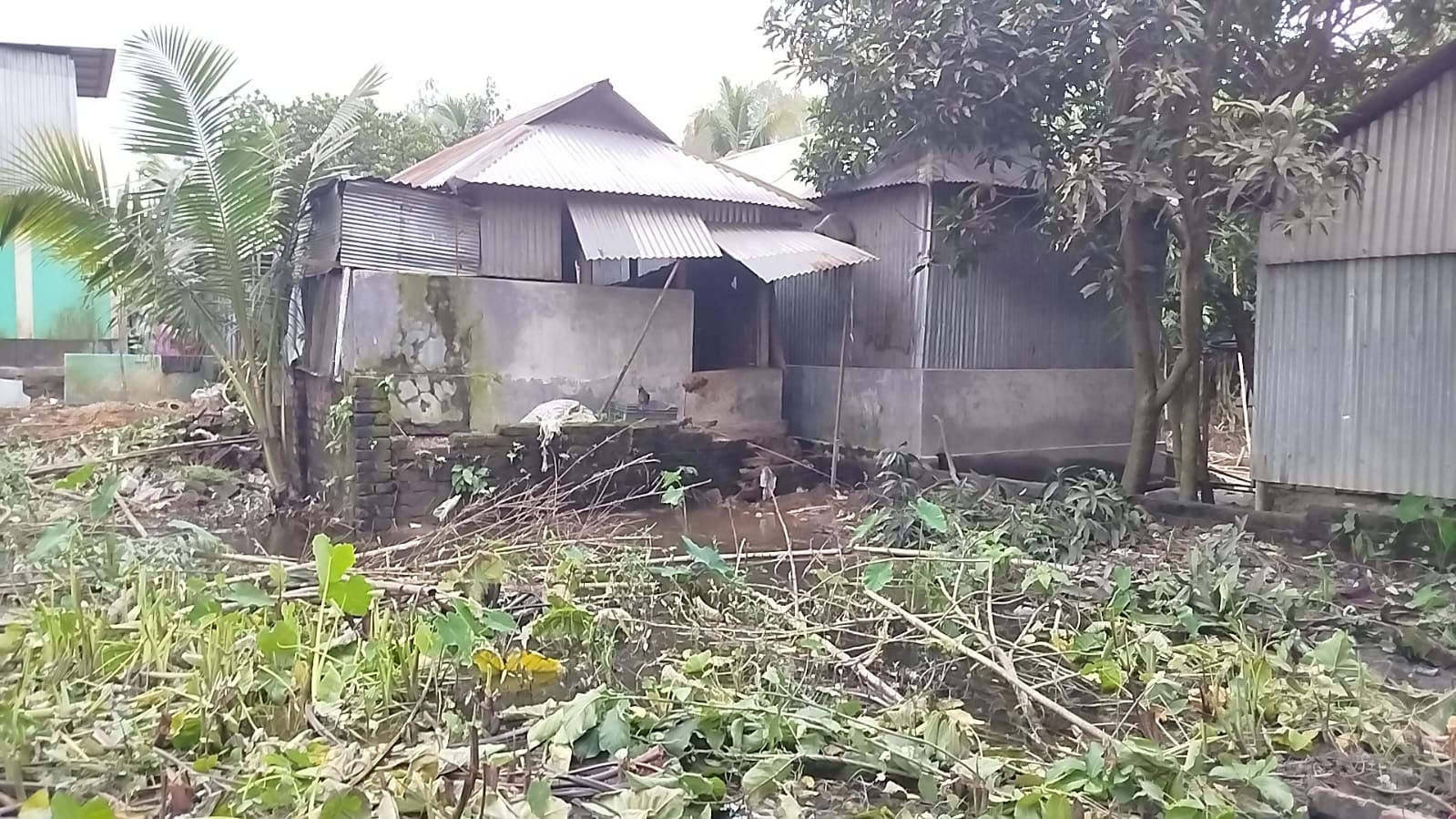 ধনবাড়ীতে জমি নিয়ে বিরোধের জেরে প্রকাশ্যে ৪৫টি চারাগাছ কর্তন, থানায় অভিযোগ